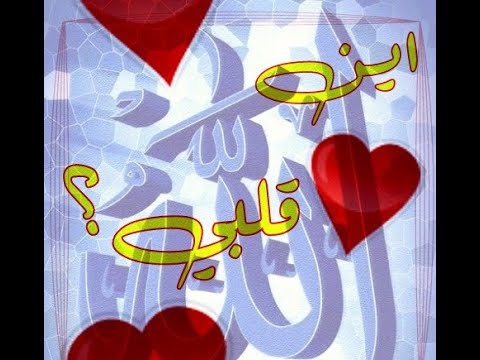 أين قلبي الشيخ ابو اسحاق الحوينى