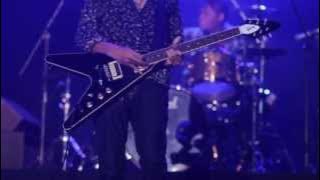 Navicula - Refuse to Forget [Live at Java Rockingland 2013]