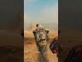 Sky World Egypt — your journey into the heart of Ancient Egypt 🌍✨