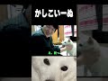 世界征服の新メンバーはかしこいーぬ