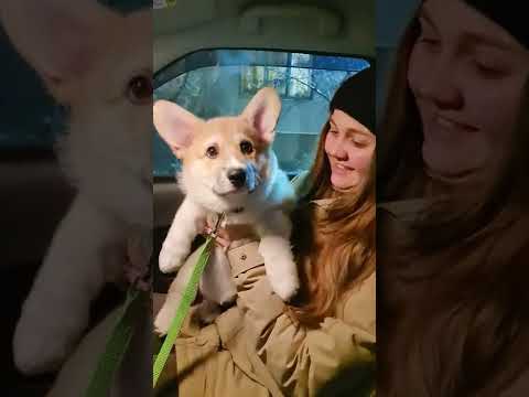 ВОТ ОНО СЧАСТЬЕ.