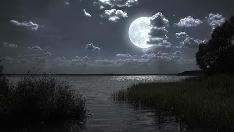 إنني انا الله لا اله إلا انا فاعبدني .... "سورة طه - 14"