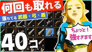 [攻略] 何回も取れる強い武器・弓・盾の場所！序盤から戦闘なしで40コ集める [ゼルダの伝説 ブレスオブザワイルド]