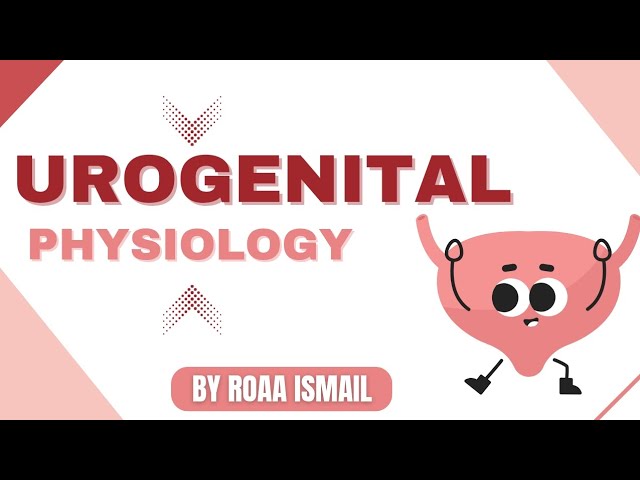 Ovarian and uterinecycle| GENITAL PHYSIOLOGY