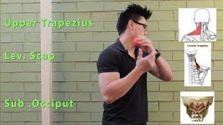 DIY NECK MASSAGE :POSTURE ,PAIN & MOBILITY