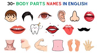 English Vocabulary | 30 body parts name in english | Body parts name | Body parts vocabulary