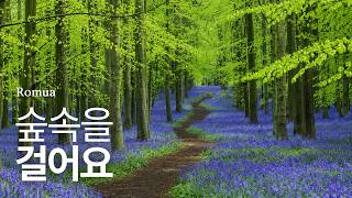 Feel Like Walking Through a Peaceful Forest🎵Healing Piano Filled with Nature's Calm | Relaxing Piano