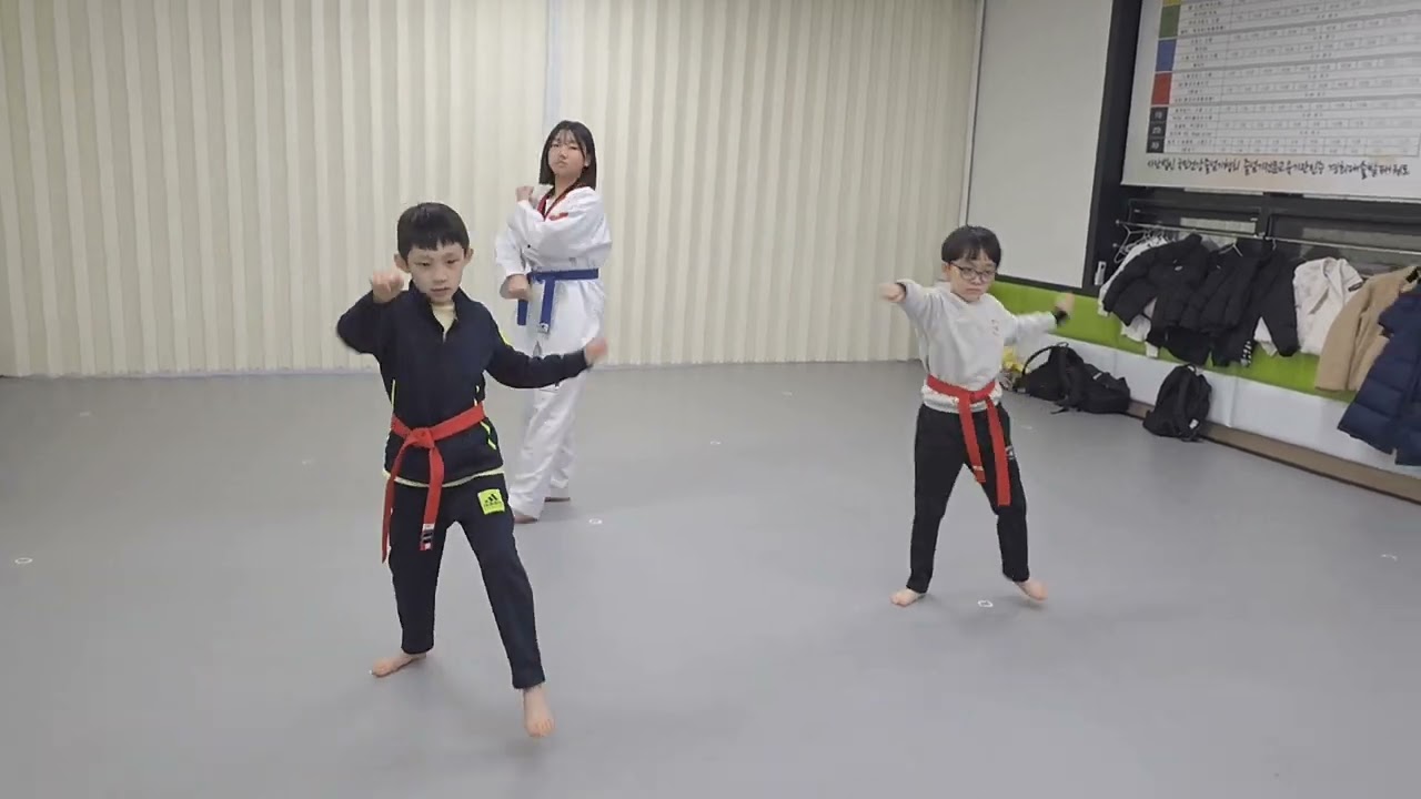 [정기승급심사 - 결과보다 빛나는 제자들의 과정 🥋✨]