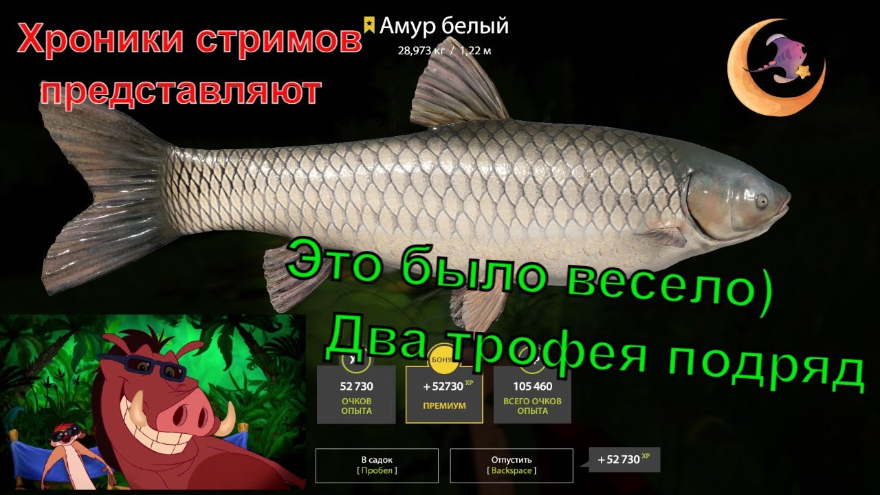 НЕВЕРОЯТНО!!!! ДВА ТРОФЕЯ АМУРА НА СТАРОМ ОСТРОГЕ!!!! #rf4 # ...