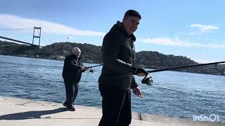 Çapari Ile Istavrit Avı Ik Ğaz