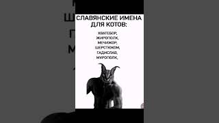 #мем славянские имена для котов #мемы2025