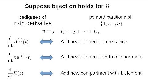 Sheffer Polynomials: Combinatorial Space for Quantum Physics