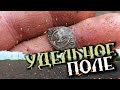 ВСПАХАЛИ ДРЕВНЮЮ СЕЛУХУ , И МЫ УЖЕ ТУТ / СУПЕР НАХОДКИ.