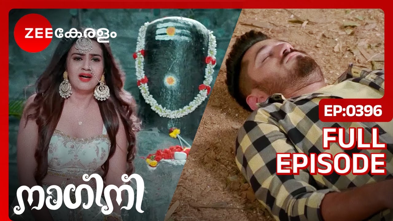 ആദിശേഷനു ബോധം തിരിച്ചുകിട്ടുമോ? - Nagini | Full Ep 396 | Shivani, Adishesh | Zee Keralam