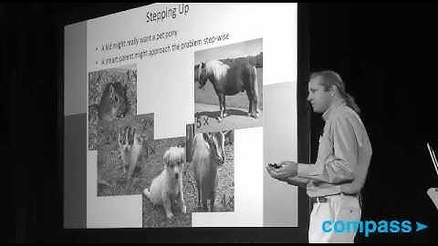 Tom Murphy: Growth has an Expiration Date