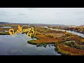 Красоты реки Сок, Самарская область, видео в 4K с DJI mini 2