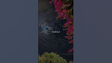 ستوريات القران الكريم 💜✨ حالات واتس اب ايات قصيرة جميلة 🤤❤️