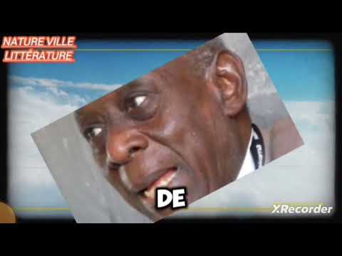 👀L'AVENTURE AMBIGUË DE