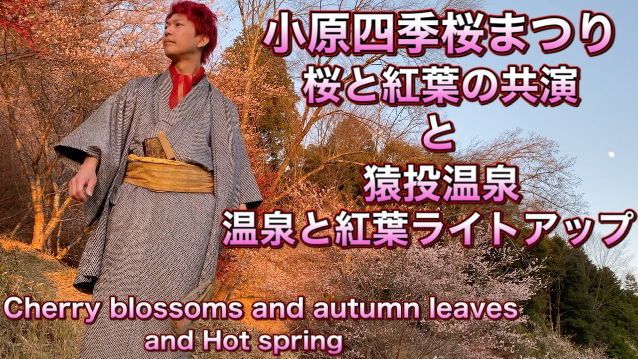 小原四季桜まつり 桜と紅葉の共演 と猿投温泉で温泉と紅葉狩り 愛知県豊田市小原町 Co Starring Cherry Blossoms And Autumn Leaves In Obaratown Youtube 小原四季桜まつり 桜と紅葉の共演 と猿投温泉で温泉と紅葉狩り 愛知県豊田市小原町 Co Starring Cherry Blossoms And Autumn Leaves In Obaratown Youtube