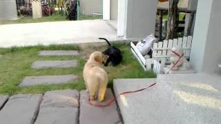 28012011.mp4