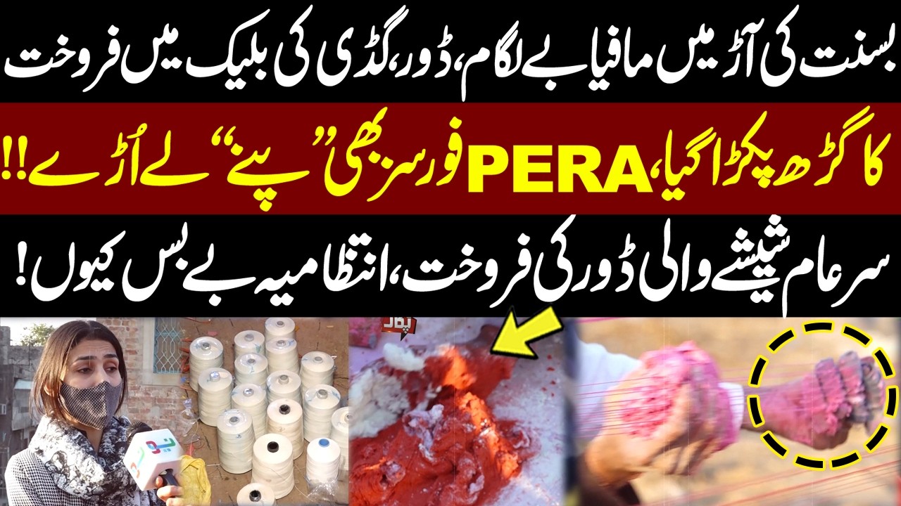 Lahore Basant 2026 - Tehmina Sheikh Ka Chappa - Qati*l Door Ki Tayari - Pukaar - Basant Festival