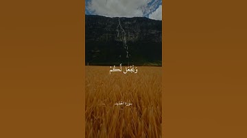 يَا أَيُّهَا الَّذِينَ آمَنُوا اتَّقُوا اللَّهَ وَآمِنُوا بِرَسُولِهِ || سورة الحديد || علي جابر