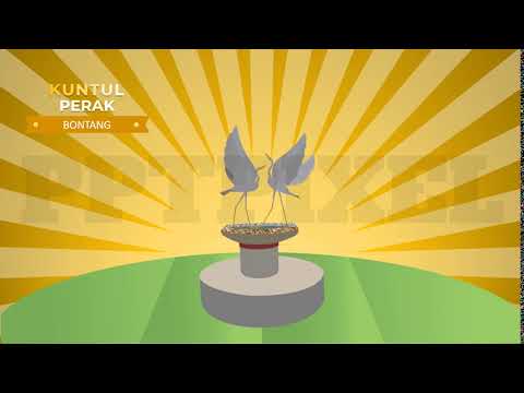 video-animasi-promosi,-video-marketing,-kontol-perak-bontang