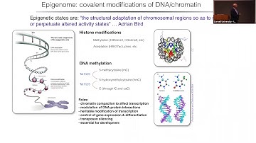 Joe Ecker: Epigenomics  of Neuron Diversity and Connectivity  in the Mammalian Brain