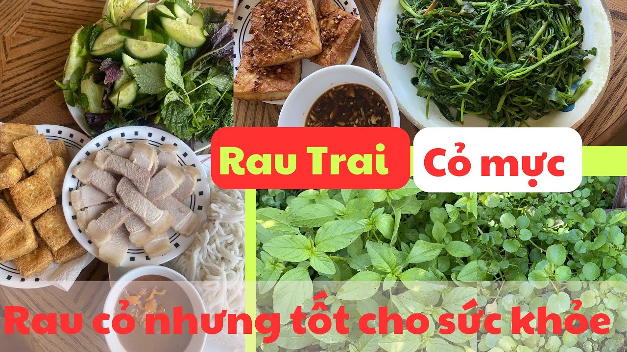 Rau cỏ nhưng rất nhiều dinh dưỡng giúp nhiều bệnh như huyết áp tim mạch ...