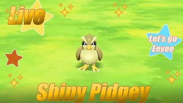 Live Shiny Pidgey - Let