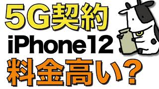 【損する】iPhone12で5Gプランを契約すると料金は高くなる？各社の5G料金をまとめて解説【au/ドコモ/ソフトバンク/楽天モバイル】