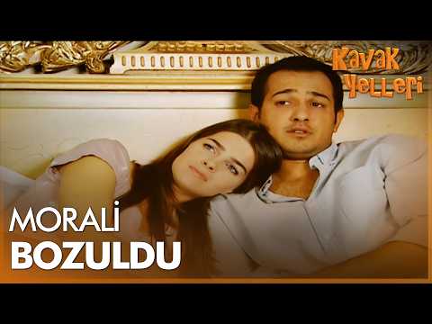 Aslı'nın Doktorluk Mücadelesi | Kavak Yelleri