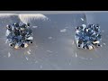 $12,500 Natural Diamond Stud Earrings From James Allen (Color: I) (VS2 + SI1)