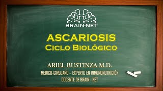 ASCARIOSIS: Ascaris lumbricoides, ciclo biológico, biología, Ascariasis.