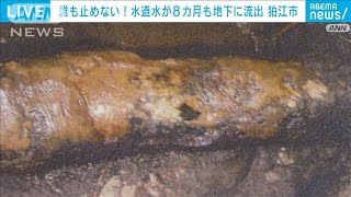 水道管腐食で大量漏水、8カ月も放置　なぜ止めない？(2022年3月5日)