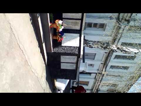 9 мая город