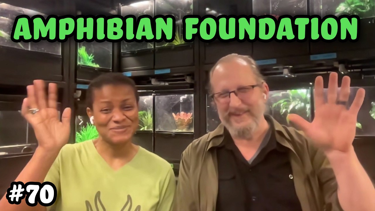 10 Years of Saving Amphibians | Amphibian Foundation - Josh's Frogs Podcast #70