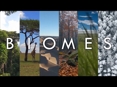 Biomes - The Living Landscapes of Earth, Introduction To Biomes Of The World, Geodiode