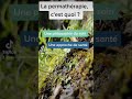 La permathrapie remettre la personne au cur du soin sesoignerautrement santenaturelle