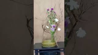【いけばな技術】剣山無しで水盤に花をいける　真似してみて。　#いけばな  #ikebana #bonsai #やってみた #howto