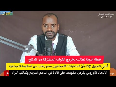 فرض عقوبات على قادة في الدعم السريع وكتائب البراء أماني الطويل الحكومة السودانية وراء ما يحصل في مصر