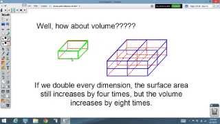 Areas and volumes of similar solids 11-7