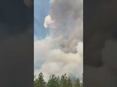 Firefighters Battle Nohomin Creek wildfire Burning in British Columbia