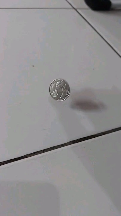 Jarang diperhatikan ! Detik-detik Coin Jatuh dalam Slow Motion: Detail dalam Kegembiraan Sederhana
