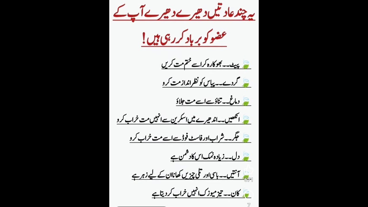 Zia din is Live | Jasmini tor pr Fit