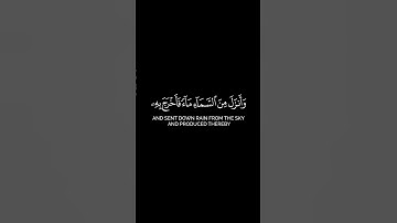 الله الذي خلق السماوات والأرض وأنزل من السماء ماء فأخرج به من  | سورة إبراهيم | محمد أيوب | كروما