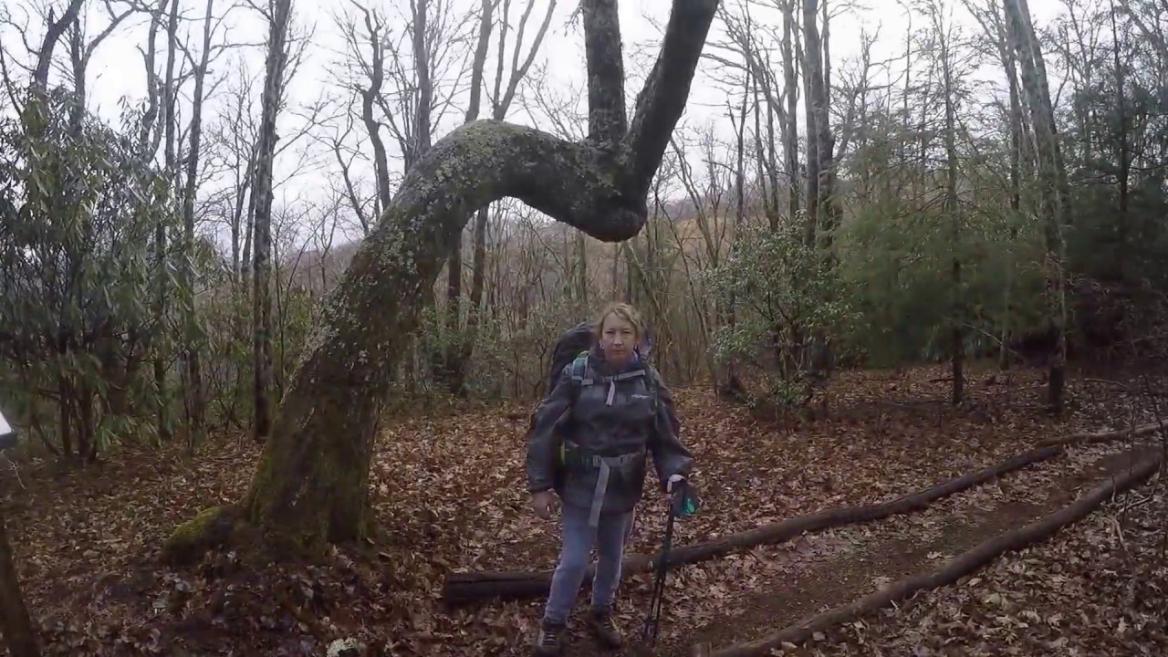 Jimmy and Miss Deb hike the Cataloochee Divide Trail