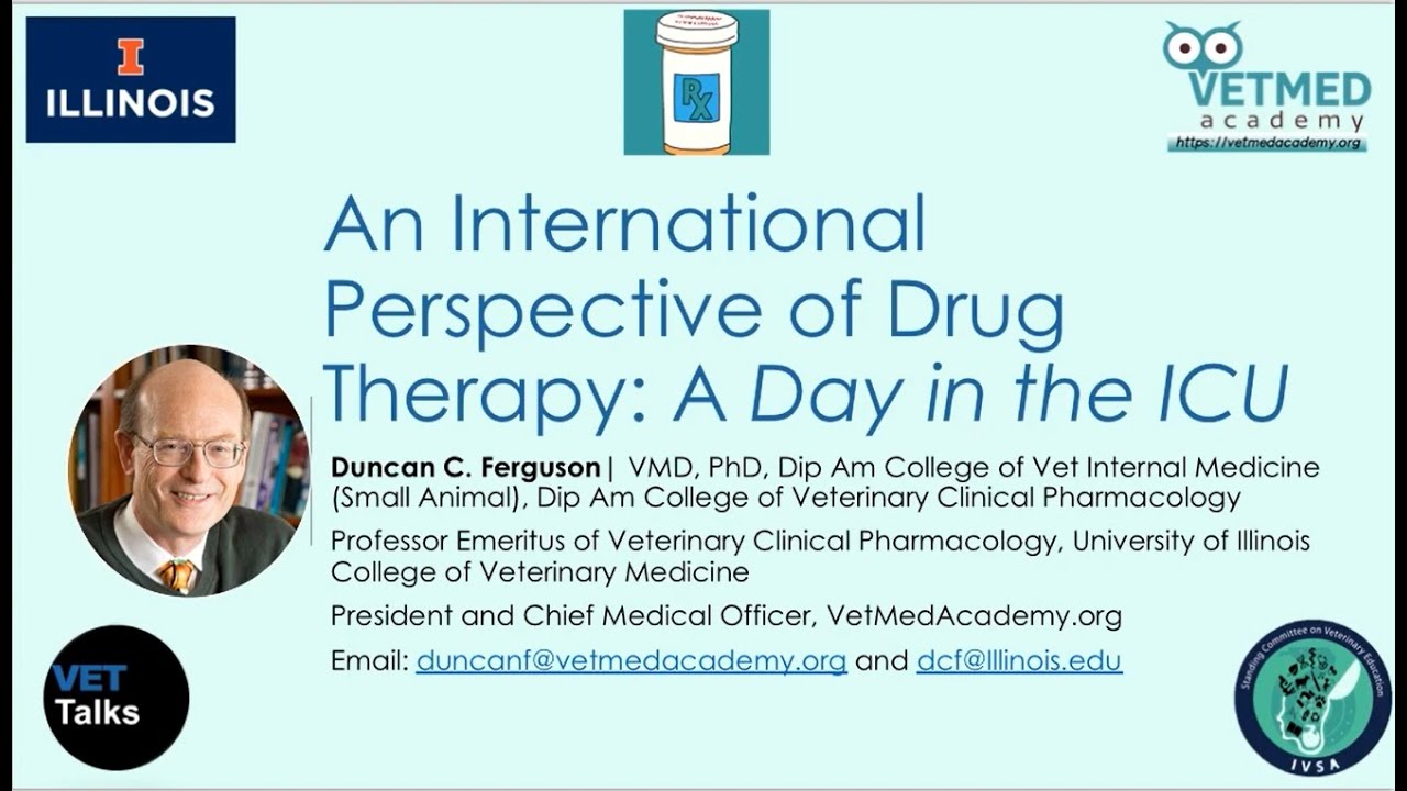VET Talks - An inernational perspective of drug therapy: A day in the ICU