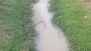 Arif Putra Full Album - Rembulan malam - Tak sedalam ini 