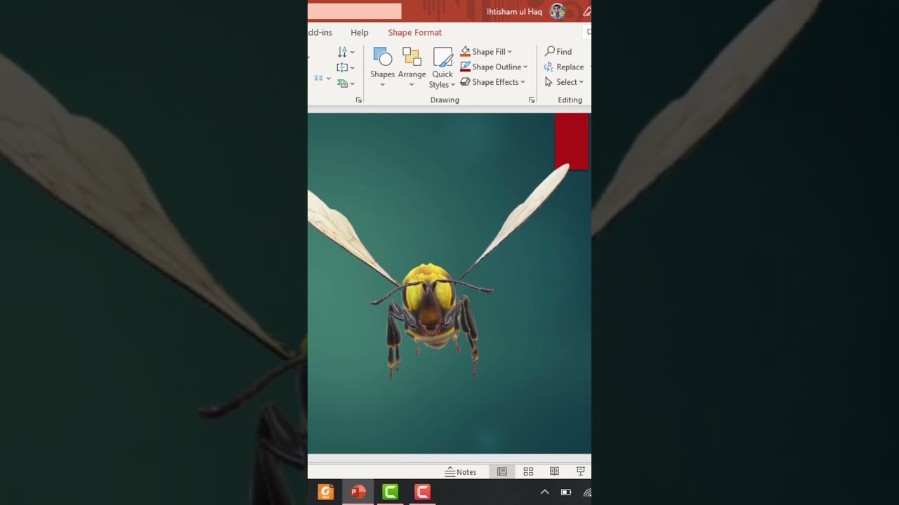 insect animation in Powerpoint 